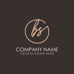 BS initials signature logo. Handwritten vector logo template connected to a circle. Hand drawn Calligraphy lettering Vector illustration.