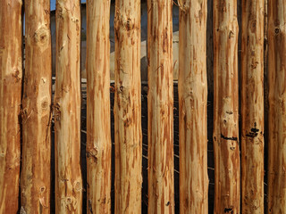 log wooden fence
