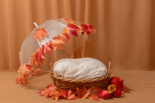 basket for baby decorated with  umbrella and autumn leaves