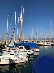 yachts in marina