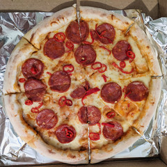 pizza with salami and cheese