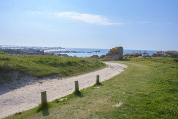 Fototapeta premium Landscape at the coast with sandpath to the sea, grass and rocks, sunny summer feeling