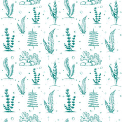 seamless seaweed pattern isolated. vintage background with engraved seaweeds, corals and reef. underwater natural hand drawn elements. Wedding or ad template design. Vintage seaweed collection. © Elena