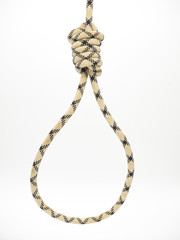 Rope for gallows with hangman noose and hanging knot isolated on a white background