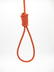 Red rope for gallows with hangman noose and hanging knot isolated on a white background - obrazy, fototapety, plakaty