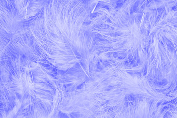 Medium slate blue feather feather texture background. Soft and gentle pattern. Bohemian boho style.
