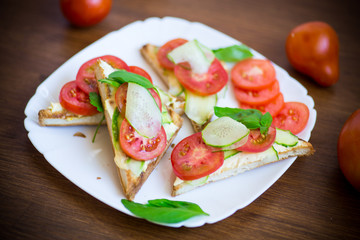 tasty sandwich with curd paste, fresh cucumbers and tomatoes