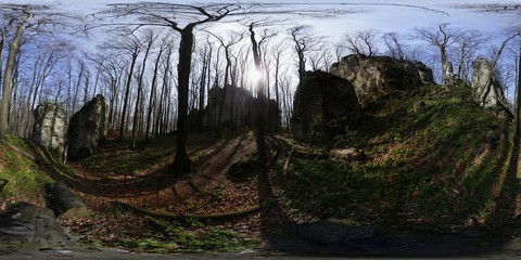 Spring forest HDRI Panorama