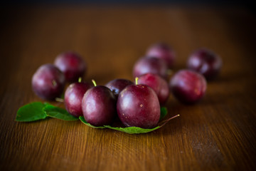 organic red ripe cherry plum isolated on black