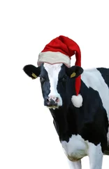 Schilderijen op glas Christmas greeting card with cow on a white background © oraziopuccio