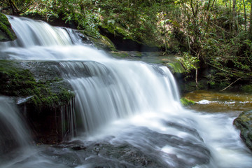 waterfall in the forest