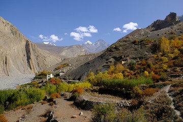 Beautiful mountain village Lupra with autumn trees in Mustang land, on the bank of Kali Gandaki...