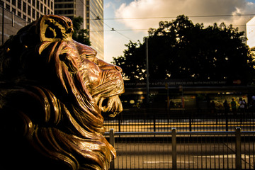 Fototapeta na wymiar Lion Statue