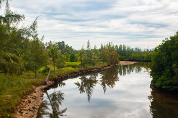 lake in the forest