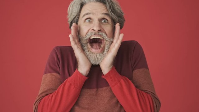 Cheerful gray-haired bearded man in red sweater screaming surprisingly to the camera isolated over red wall