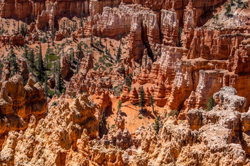 Overview on the Hoodoos in Bryce Canyon National Park