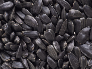 The surface of black sunflower seeds. Illustration or dark black background or wallpaper. Winter food for wild birds. View from above. Close-up