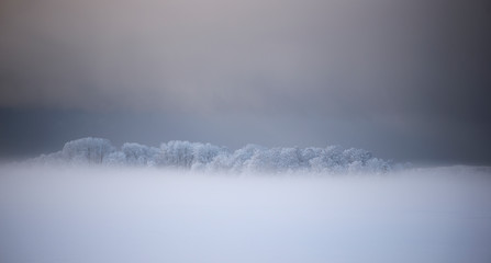 Winter landscape. Snowy trees on white meadow in morning sunlight. Misty winter morning. Scenic frosty nature in Krimulda,Latvia