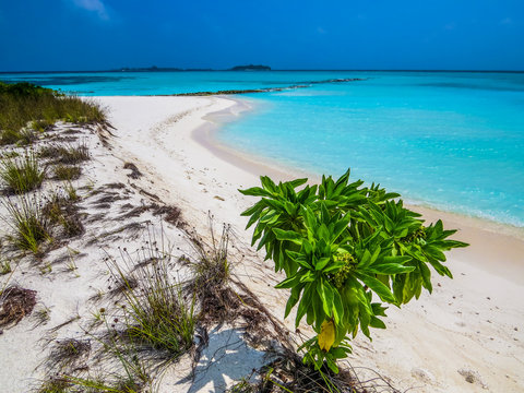 Amazing Sea in the Maldives