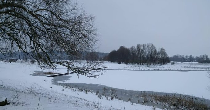 willow branches in front of a bridge across flooded and frozen riverine woodland + pan Blauwe Kamer nature reserve along the river Rhine. The Netherlands. winter 2019