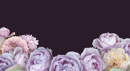 Lilac roses, hydrangea and pink chrysanthemum isolated on dark background with copy space. Floral banner, header with bouquet of garden flowers. 