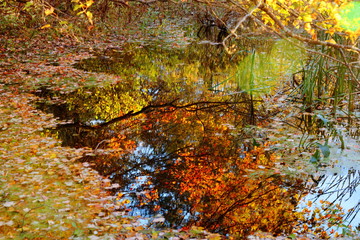 Fall colors reflected in water