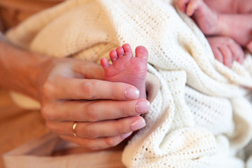 Mother hand with gold wedding ring holding cute beautiful caucasian newborn baby boy little pink foot, one week old in white blanket. Concept IVF, Cesarean section, natural birth, happy parent