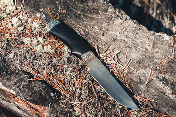 Army knife for protection on fallen tree in the forest.