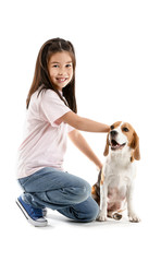 Little Asian girl with cute beagle dog on white background