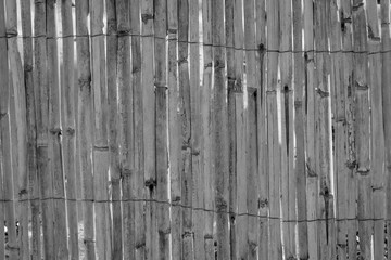 Detail eines Sichtschutz aus Rohr, Stroh oder Bambus, Textur