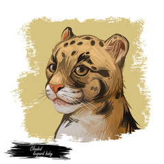Clouded leopard baby tabby Neofelis nebulosa wild cat from Himalayan, Asian China. Digital art illustration of mainland clouded leopard or Sunda clouded leopard, hunting season wildcat portrait.