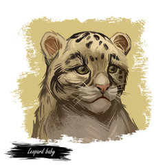 Leopard babby tabby watercolor portrait of exotic animal. Panther looking aside. Felidae family member, mammal with furry coat with dots. Carnivore panthera pardus wildlife digital art illustration.
