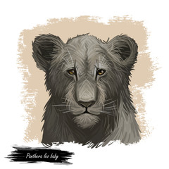 Panthera leo watercolor baby tabby portrait in closeup. Mammal with black furry coat feline animal. Predator from wild environment drawing with text brush. Carnivore creature digital art illustration