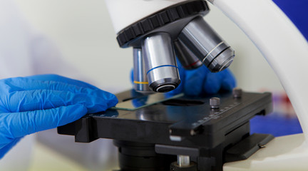 Close up of woman hand in gloves preparing sample on glass under microscope