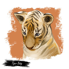 Tiger baby tabby watercolor portrait in closeup. Hand drawn panthera tigris, wild cat of large size. Felidae mammal with furry coat. Predator wildlife, carnivore beast, digital art illustration.