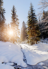  Beautiful winter landscape with snow covered trees