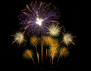 Set of Isolate fireworks on black background