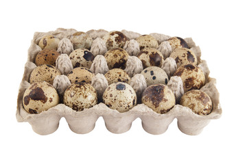 Quail eggs isolated on white