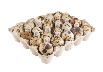 Many quail eggs in pack isolated on white