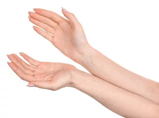 Poster Female caucasian hands  isolated white background showing  gesture holds something or takes, gives. woman hands showing different gestures © Илья Подопригоров