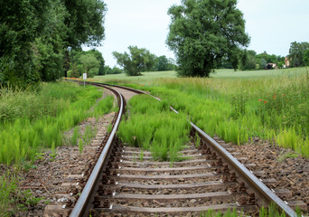 eine selten befahrene Bahnstrecke wuchert langsam zu