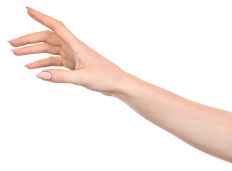 Female caucasian hands  isolated white background showing  gesture points finger to something or someone.  woman hands showing different gestures - Powered by Adobe