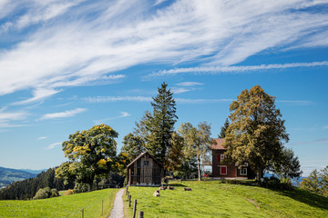 House on the Hill