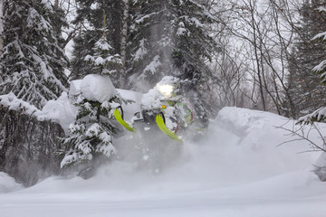 snowmobile rider makes a turn and jump during a snowfall. in the winter forest, leaving behind a trail of big splashes of white snow from a snow bike. bright snowmobile and black suit. snowmobilers