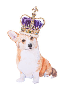 Watercolor Painting Corgi In The Royal Crown