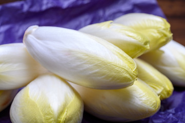 Fresh white belgian endive or chicory heads