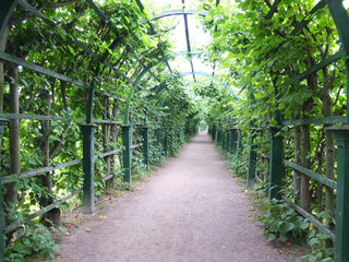 path in the park