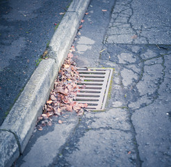 Fall leaves clogging a drain in the street