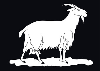 Dessin vectoriel noir et blanc d’une chèvre.