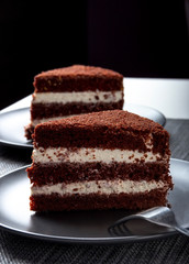 two pieces of chocolate cake on a dark plate